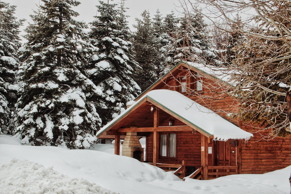 Brown Wooden House Covered With Snow Near Trees